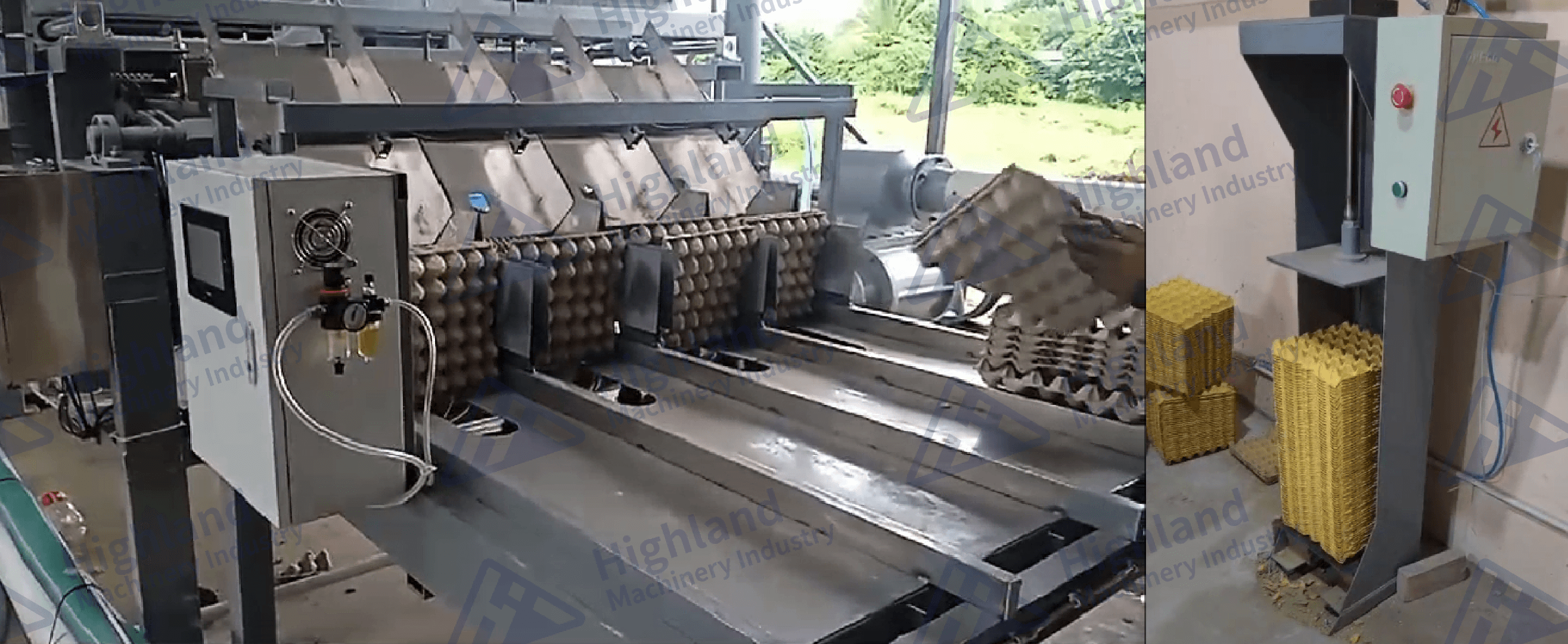 recolectora-de-carton-de-huevo