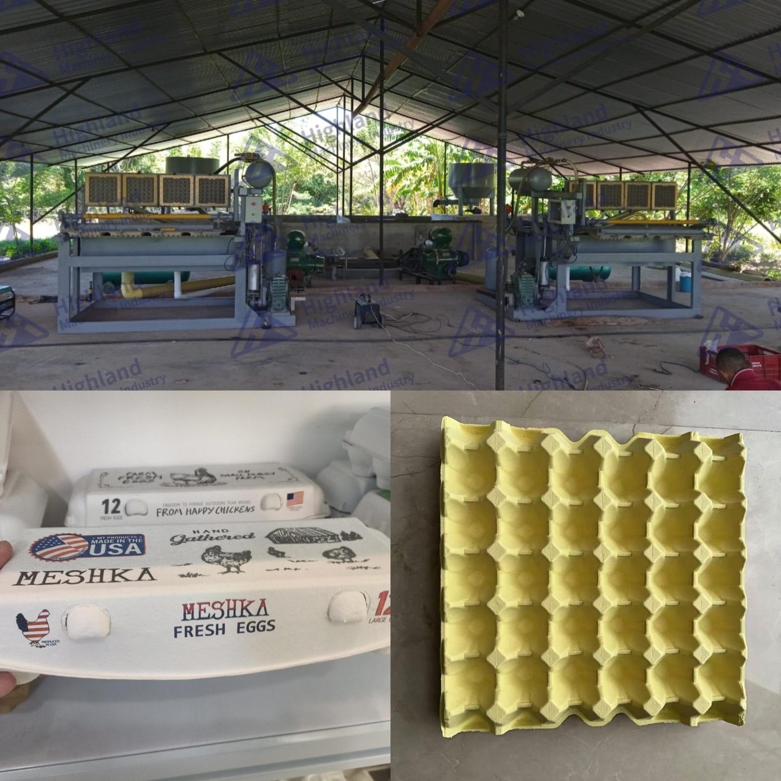 máquina para fabricar bandeajs de huevos