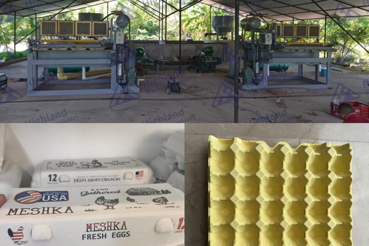 máquina para fabricar bandeajs de huevos